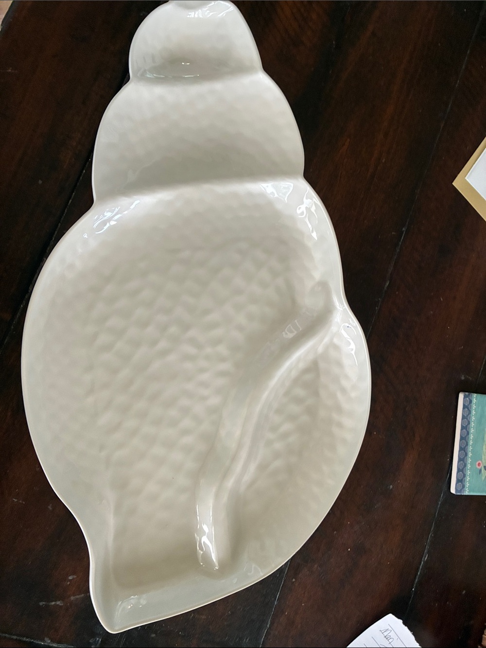 Serving Platter Sigrid Olson Cream Seashell Elegant Home Dining Oceanside Beach